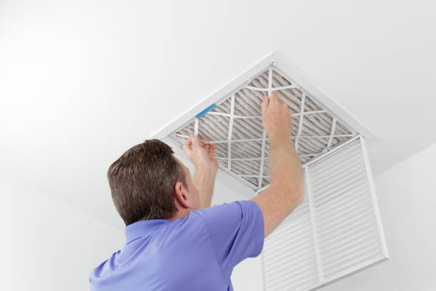 Best Air Duct Sanitization & Disinfection in Inver Grove Heights, MN